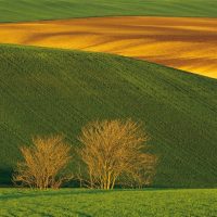 franco fontana